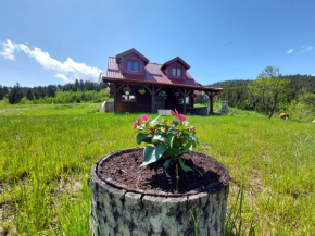 Seosko-turističko domaćinstvo Bojovići-Rajkova koliba